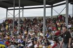 Stingers fans were supportive all summer long.