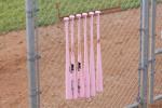 Pink bats were auctioned off during a game in 2011 to help raise money for the American Cancer Society.