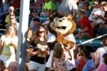 TC the Bear made another appearance for Twins night in 2011!