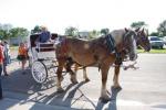 Carriage rides were given prior to the start of the game on Once Upon a TIme Night.